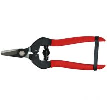 Forbici cogliuva cm 16