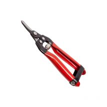 Falci - Ciseaux a' agrumes faucilles 16 cm pour agrumes avec lame incurve'e poigne'es en pvc et fermeture en cuir