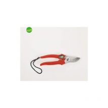 Forbici fiori inox 18 cm.