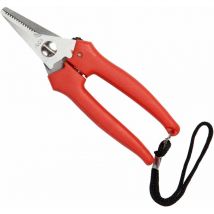 Falci - forbici per uva inox cm 16 pz 12,0