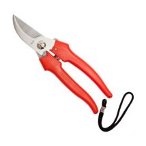 Forbici Falci per uva inox cm 19. Prezzo per 1 pezzo.
