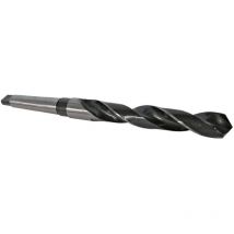 Forets cone morse - conemorse : foret de 30