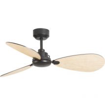Forlight - Blume Ventilador de Techo Ultrasilencioso con 6 velocidades, regulador de Intensidad y Temporizador de apagado. Negro.