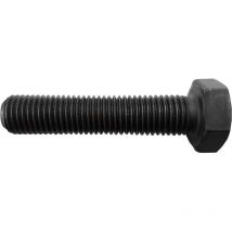 Format - Schraube für Blechlocher Standard 10.9 10x1x45