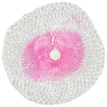 Butsir - fornello ricambio universale per bombola gas da campeggio 1 bruciatore 19388