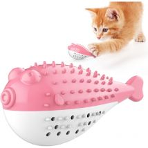 Fournitures pour animaux de compagnie, jouets à mâcher sonores, herbe-aux-chats, poisson-globe, jouets de dentition pour chat