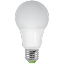 Ampoule led S11 E27 12W 3000K A60 1000 lumens