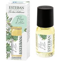 Paris concentrato profumo per diffusori ambiente fleur d'aloe 15 ml - Esteban