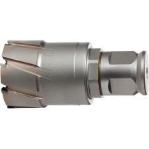 Fraise hm QuickIn maxø 67x50mm Fein