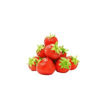 Fraisier san andreas - 20 plants - Fruitiers