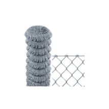 Sidex - Rouleau Cm 200x25 M Filet Grillaga Avec Maille Galvanisa E Libre 50x50 Mm