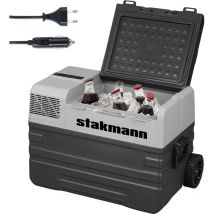 Frigorifero per Auto Barca Camper 12V e 220V con Compressore ac/dc Portatile 42L