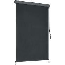Store Enrouleur Occultant avec manivelle, Résistante aux uv, 250 x 160 cm, Gris Foncé - Froadp