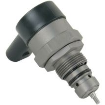 Fuel Pump Pressure Regulator Valve 0281002494 A6110780449 For