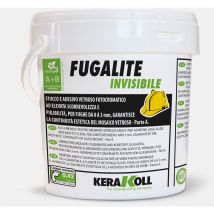 Stucco Fugalite Invisibile neutro Kg. 3