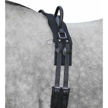 Mini Shetty, Noir 9100: Sangle Pour Chevaux Avec Double Poignée Toile Modèle