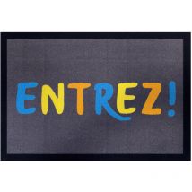 Fußmatte Eingang Dunkelgrau 40x60cm - Vica