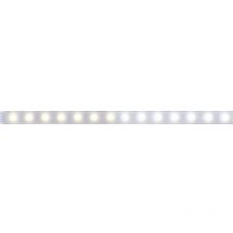 Paulmann - MaxLED Tunable White 70630 Ruban led (Extension) avec connecteur mâle 24 v 1 m blanc chaud, blanc neutre, blan