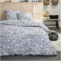 Today - Sunshine 16.12 - Juego de Cama para Cama de 2 Personas, 220 x 240 cm, 100% algodón Estampado