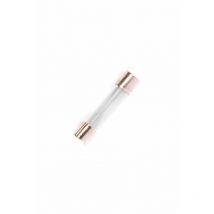 Fusible 10A 30mm (x10)