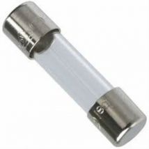 Fusible 5x20 8A 250V-