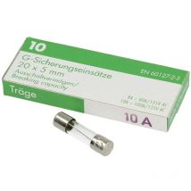 Fusible à action retardée 10A 250V