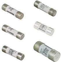 L'ebenoid - Fusible aM 10x38 20A 060120