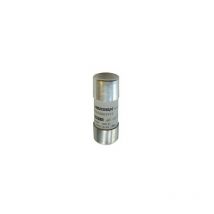 Mersen - fusible cartouche - 22 x 58 - gr - 63a - 690v - avec percuteur d1018627