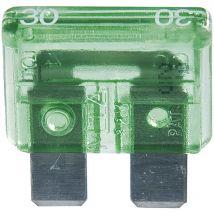 Fusible de automóvil estándar 30A