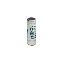 Fusibles 32A avec voyant nf (x10)