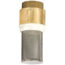 Messing Fußventil Rückschlagventil mit Saugkorb 11/4' Filterkorb Pumpen