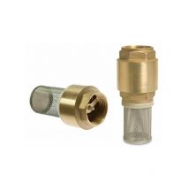 Messing Fußventil Rückschlagventil mit Saugkorb 1/2' Filterkorb Pumpen