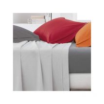Gabel di Più Colore e Benessere Sottolenzuolo, Percalle, Bianco, A Una Piazza e Mezza, 200x125x0.3 cm