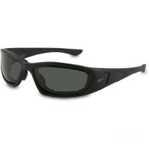 Lunettes de Protection F1 pc Ecran Solaire Gris Anti-buée Pegaso 990.02