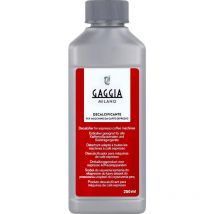 Gaggia - 8012335000138 Entkalker 250 ml