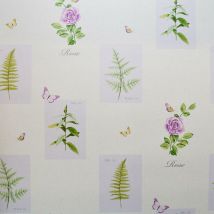 Botanical Wallpaper Butterflies Floral Rose Purple White Green Ferns - Galerie