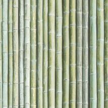 Galerie - Organic Textures Bamboo Green Wallpaper Naturistic Paste The Wall Vinyl