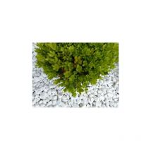 Classgarden - Galet Blanc Brillant 12-24 Pack de 10 M² - 20 sacs - 400 kg