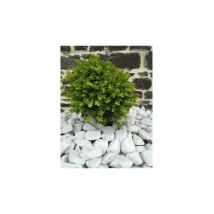Classgarden - Galet Blanc Brillant 40-60 - vrac Big-Bag - 1000 kg