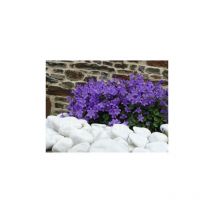 Classgarden - Galet Blanc Brillant 40-60 - Pack de 10 sacs - 200 kg