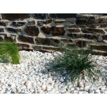 Classgarden - Galet Blanc Rosé 12-24 Pack de 7 M² - 14 sacs - 280 kg
