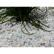Classgarden - Galet Blanc Rosé 6-12 Pack de 5 M² - 10 sacs - 200 kg