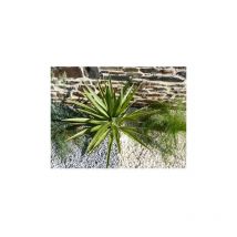 Classgarden - Galet Gris Clair 6-12 Pack de 25 M² - 50 sacs - 1000 kg