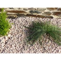 Classgarden - Galet Rose 6-12 Pack de 5 M² - 10 sacs - 200 kg