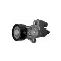 Galet tendeur courroie accessoire peugeot 206 306 406 605 806 1.9D 2.1D