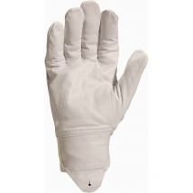 Delta Plus - gant cuir de caprin pleine fleur poignet bord cote elastique -51FEDF0 T8