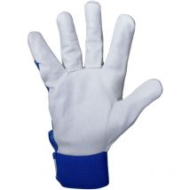 Gants Cuir De Chèvre Bleu P270208p, Carte, '8', Ce, Psb