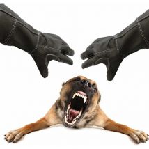 Gants de manipulation d'animaux anti-morsures Gants de jardinage anti-rayures Gants de protection pour chien chat oiseau serpent perroquet lézard 1