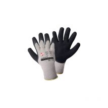 Gants de travail taille: 10, xl L+d Griffy gletscher-grip 1493-10 1 paire(s)