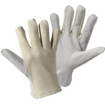 Gants de travail taille: 10, xl l+d worky nappa trikot 1705-10 1 paire(s)